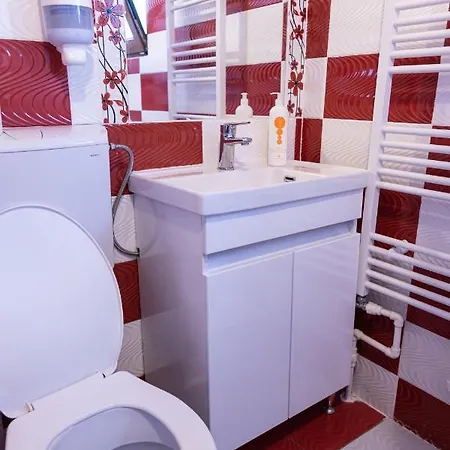 Apartment Pensiunea Novac *